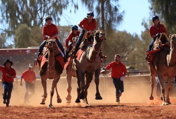 北领地，尤拉拉，乌鲁鲁骆驼杯大赛 © Damien Hill/Uluru Photography 版权所有