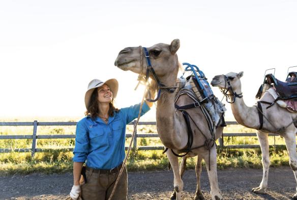 昆士兰州，哈里斯维尔，Summer Land Camels 骆驼牧场，导游轻轻抚摸骆驼 © 澳大利亚旅游局版权所有