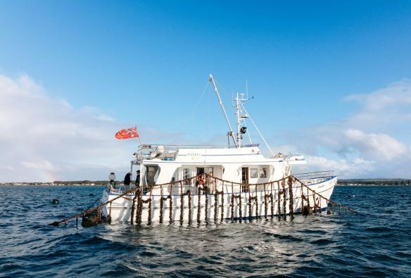 维多利亚州，吉隆市及贝拉林半岛，菲利普湾，航拍视角下，Portarlington Mussel Tours 旅行社的拖网渔船正悠然漂浮在波光粼粼的水面上 © 澳大利亚旅游局版权所有