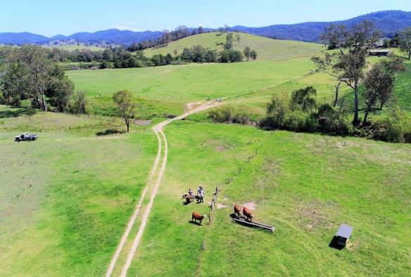新南威尔士州，巴灵顿海岸，Essentially Barrington Farmgate Tours 旅行社，动物航拍 © Craig Mason 版权所有