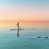 西澳大利亚州，鲨鱼湾世界遗产区（Shark Bay World Heritage Area），猴子米亚 © 西澳大利亚州旅游局版权所有