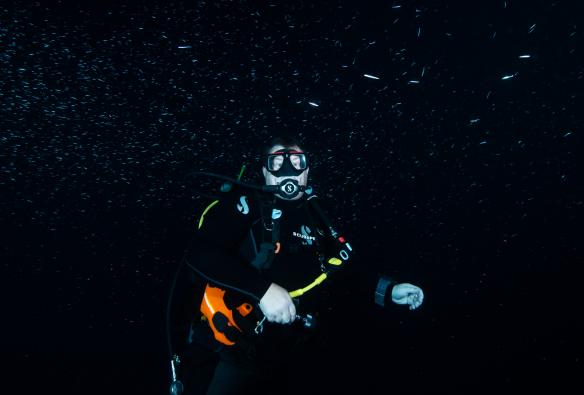 西澳大利亚州，珀斯，Perth Scuba 水肺潜水 © Perth Scuba/Johanna Pool 版权所有