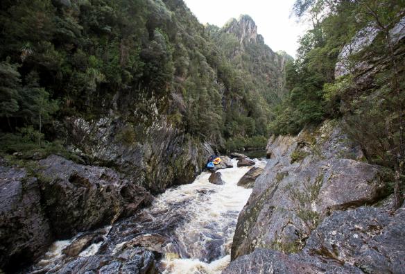 塔斯马尼亚州，富兰克林河，富兰克林河急流飘筏 © 澳大利亚旅游局版权所有