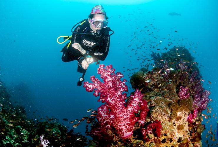 昆士兰州，大堡礁，“扬加拉”号沉船 © 昆士兰州旅游及活动推广局/Scuba Diver Life 版权所有