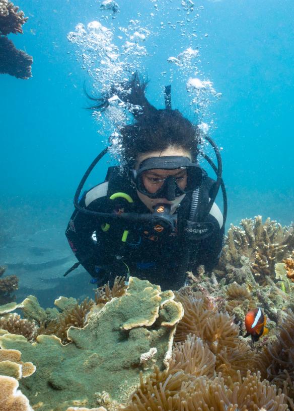 昆士兰州，大凯珀尔岛，Keppel Dive and Snorkel 公司 © 昆士兰州旅游及活动推广局版权所有