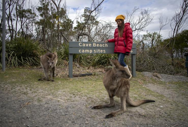 新南威尔士州，波特里国家公园，洞窟湾露营地 © 澳大利亚旅游局版权所有