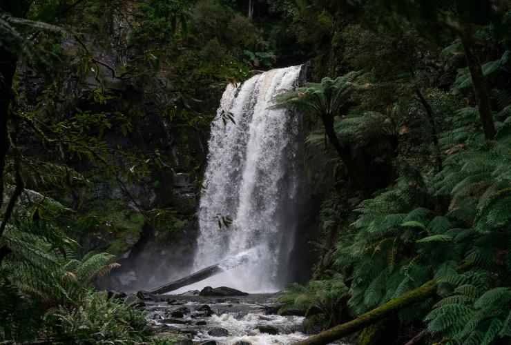 维多利亚州，大奥特威国家公园，瀑布 © 澳大利亚旅游局版权所有