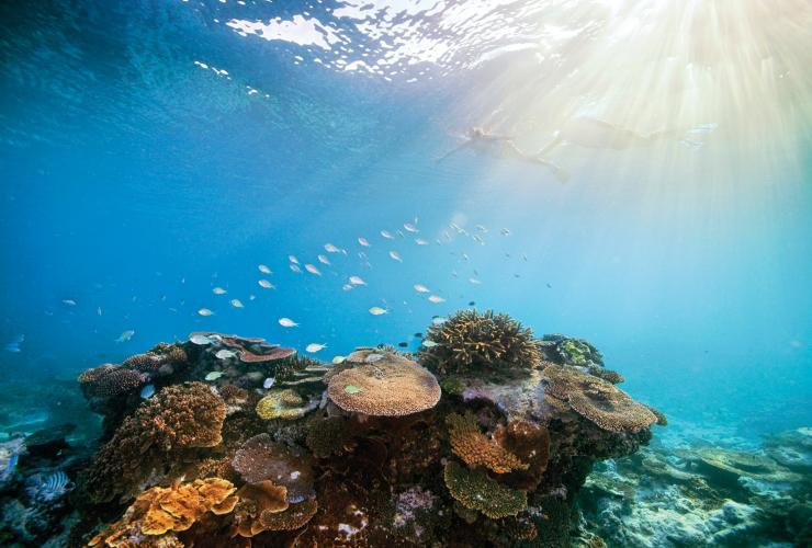 昆士兰州，大堡礁 © Darren Jew 版权所有