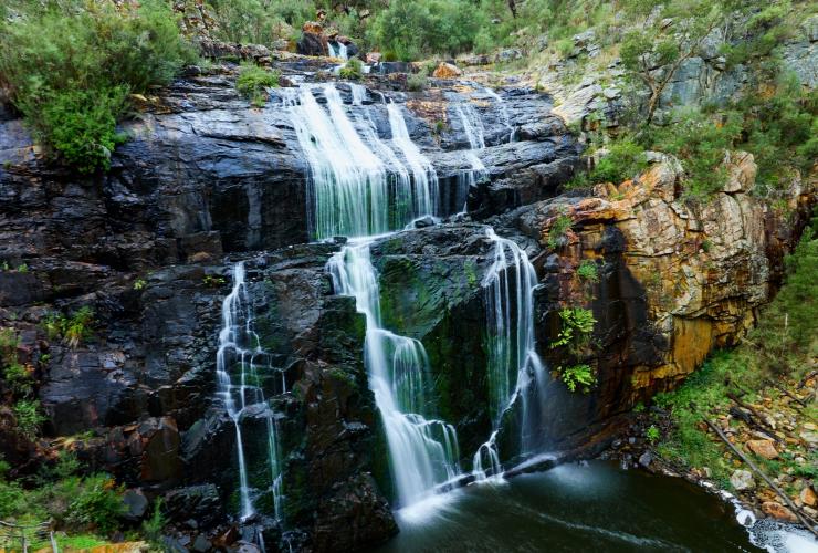 维多利亚州，格兰屏国家公园，麦克肯兹瀑布，Ambush Grampians，葱郁原始林地环抱的大瀑布 © 澳大利亚旅游局/维多利亚州旅游局版权所有