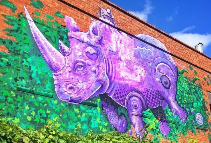 南澳大利亚州，阿德莱德市中心，Rhino Room © Rhino Room 版权所有