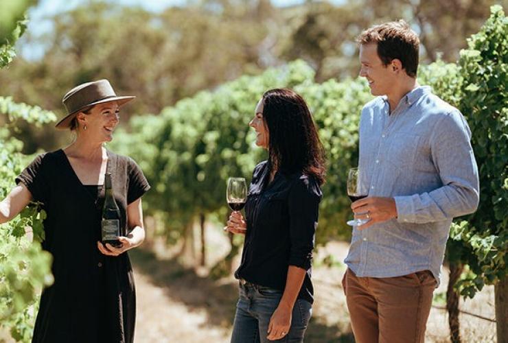 西澳大利亚州，玛格丽特河，海角洛奇酒店，两个人和一名向导在葡萄园品尝红葡萄酒 © Cape Lodge 版权所有