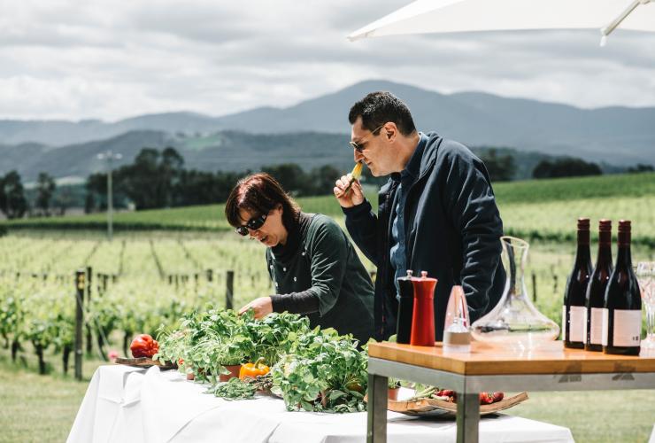 维多利亚州，亚拉河谷，渥烈治酒庄 © 澳大利亚旅游局版权所有