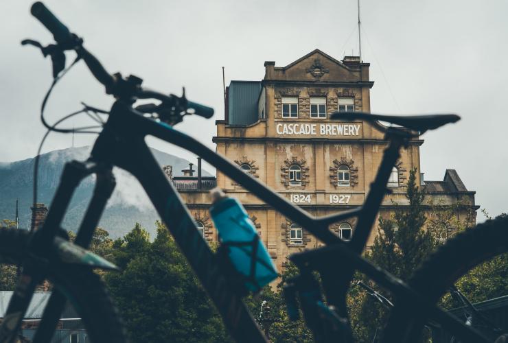 塔斯马尼亚州，霍巴特，凯歌啤酒厂 © Flow Mountain Bike 版权所有