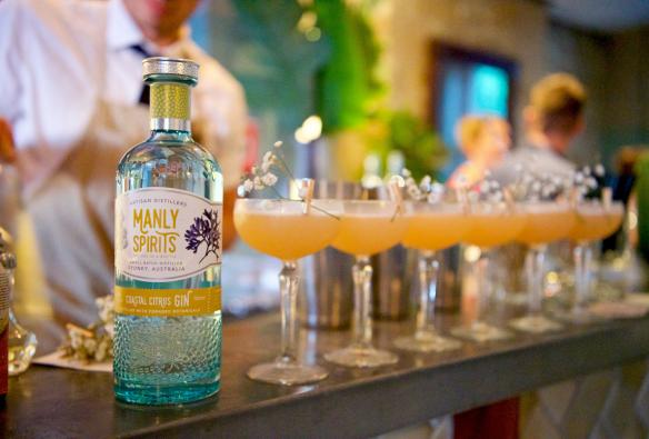 新南威尔士州，曼利镇，Manly Spirits 酒厂，吧台上摆放着一瓶沿海柑橘杜松子酒，旁边是一排刚刚调制好的鸡尾酒 © Martin Vivian Pearse 版权所有