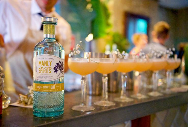 新南威尔士州，曼利镇，Manly Spirits 酒厂，吧台上摆放着一瓶沿海柑橘杜松子酒，旁边是一排刚刚调制好的鸡尾酒 © Martin Vivian Pearse 版权所有