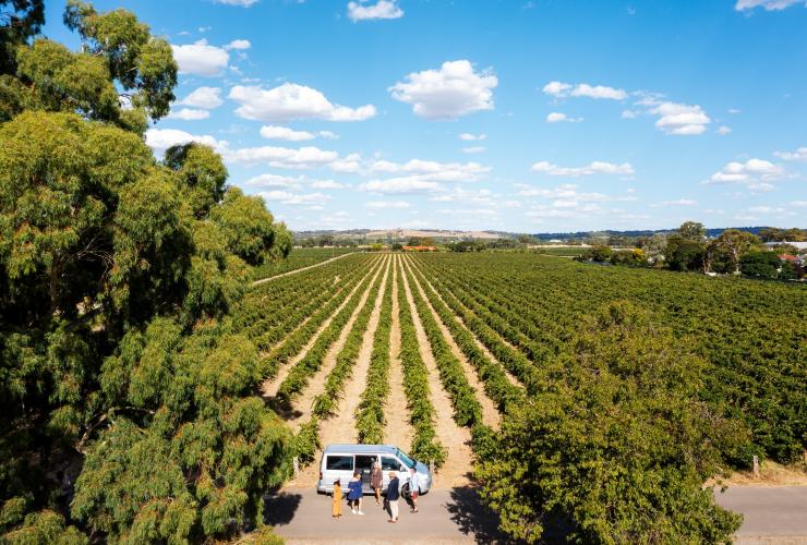 南澳大利亚州，芭萝莎谷，艾德顿葡萄酒庄，Barossa Taste Sensations 之旅 © 澳大利亚旅游局版权所有