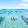 南澳大利亚州，艾尔半岛，Experience Coffin Bay 旅行社 © 澳大利亚旅游局版权所有