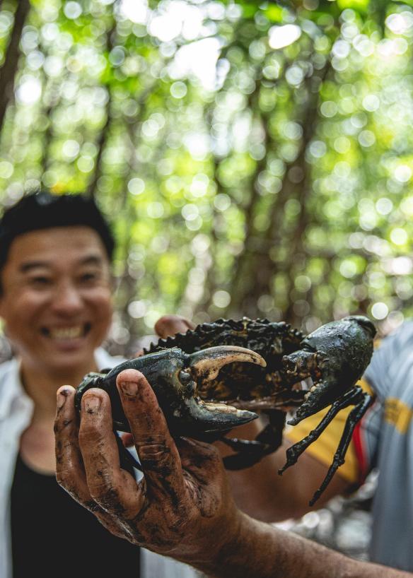 昆士兰州，库亚海滩，文化徒步探险之旅，一位原住民向导和宾客们站在雨林中，手里拿着一只泥蟹 © 昆士兰州旅游及活动推广局版权所有
