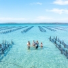 南澳大利亚州，艾尔半岛，Experience Coffin Bay 旅行社 © 澳大利亚旅游局版权所有
