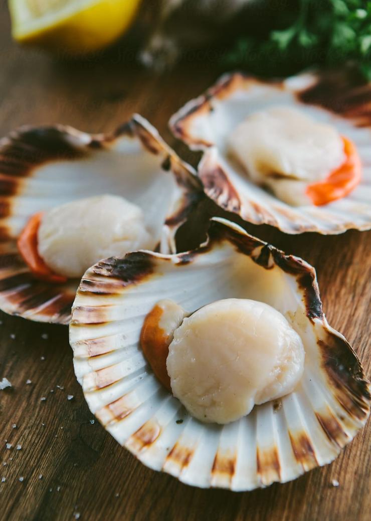 塔斯马尼亚州，霍巴特，Mures Lower Deck，新鲜带壳扇贝摆放在木桌上 © Mures Lower Deck 版权所有