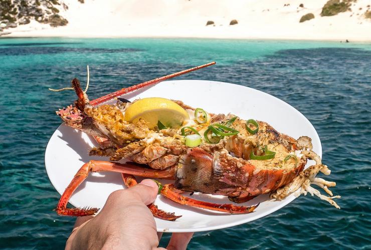 西澳大利亚州，罗特尼斯岛，Crayfish，一个人手捧盛装一只龙虾的盘子，背景是湛蓝的海面 © Rottnest Cruises 版权所有