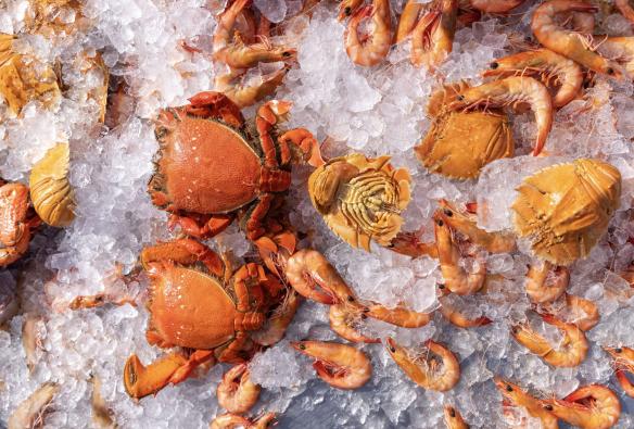 昆士兰州，黄金海岸，Fishermen's Co-op，冰镇新鲜大虾、螃蟹和摩顿湾小龙虾 © 澳大利亚旅游局版权所有 昆士兰州，黄金海岸，Fishermen's Co-op © 澳大利亚旅游局版权所有