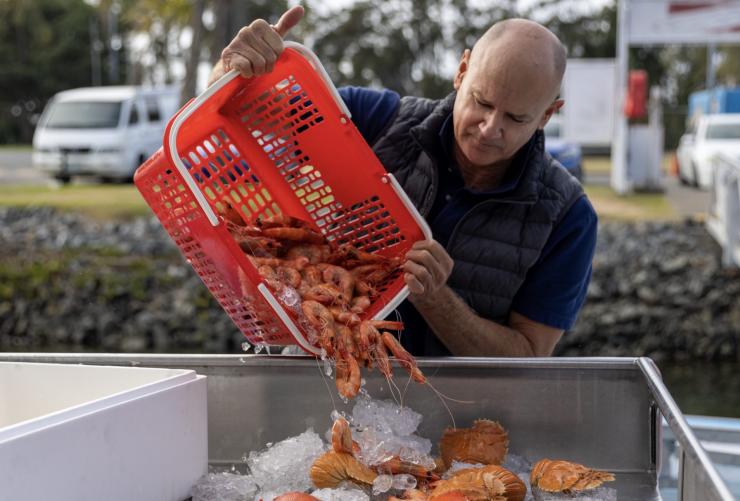 昆士兰州，黄金海岸，Fishermen's Co-op，一个人将冰镇虾蟹倒入一个大托盘中 © 澳大利亚旅游局版权所有