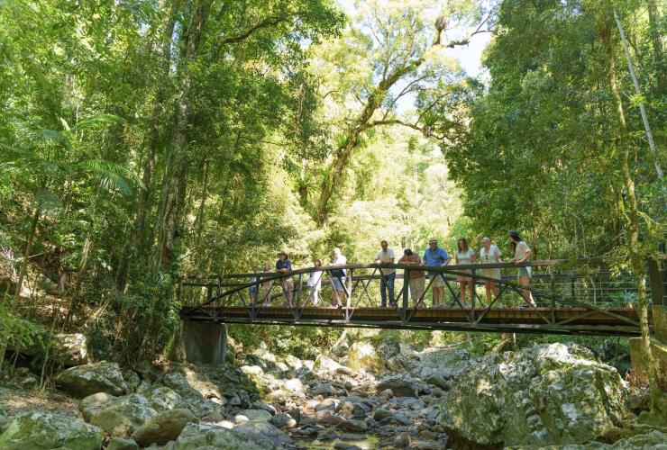 昆士兰州，坦伯林山，春溪国家公园，南十字星旅游行程指南，一群人站在雨林环绕的人行桥上 © 澳大利亚旅游局版权所有