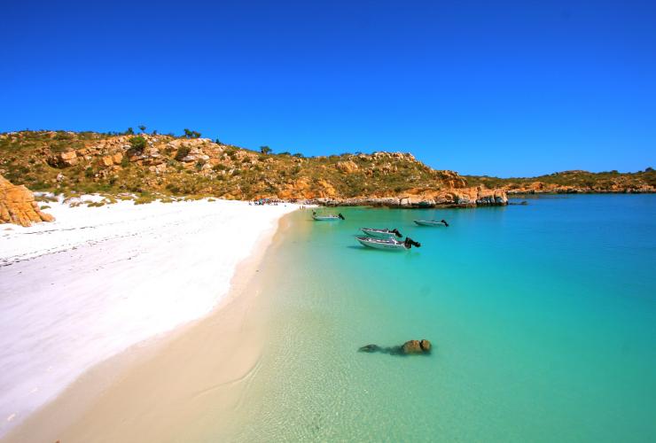 西澳大利亚州，金伯利，真北邮轮，白沙滩上的游船 © True North 版权所有