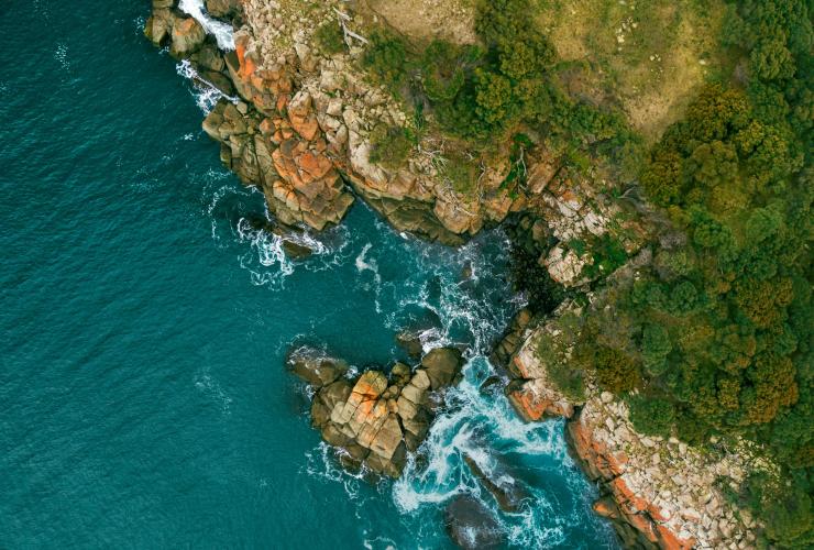 塔斯马尼亚州，布鲁尼岛，俯瞰曲折的海岸线、橙色地衣覆盖的岩石、延伸到海岬的树木和碧绿的海水 © Georges Antoni 版权所有
