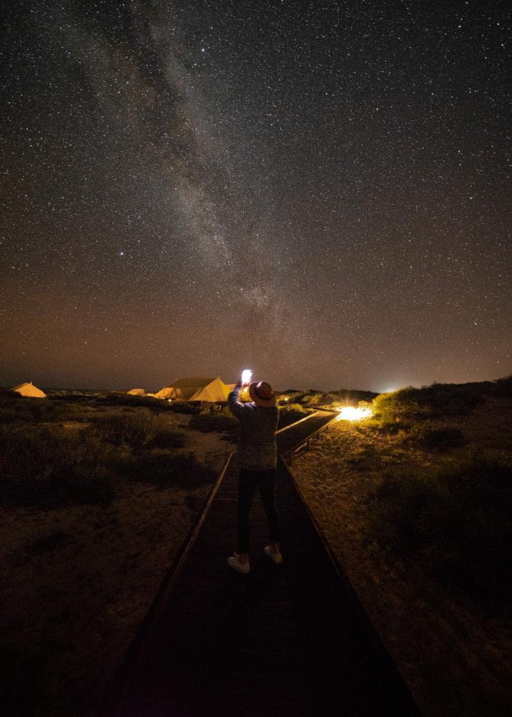 西澳大利亚州，宁加洛珊瑚礁，萨尔萨利斯营地，夜晚，一个人站在木板路上拍摄满天繁星 © 宁加洛珊瑚礁萨尔萨利斯营地版权所有