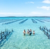 南澳大利亚州，艾尔半岛，Experience Coffin Bay 旅行社 © 澳大利亚旅游局版权所有