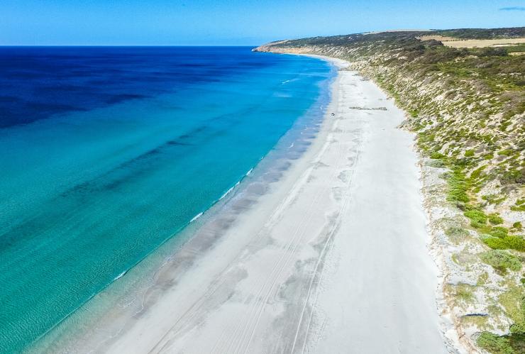 南澳大利亚州，袋鼠岛，鸸鹋湾 © 南澳大利亚旅游局版权所有