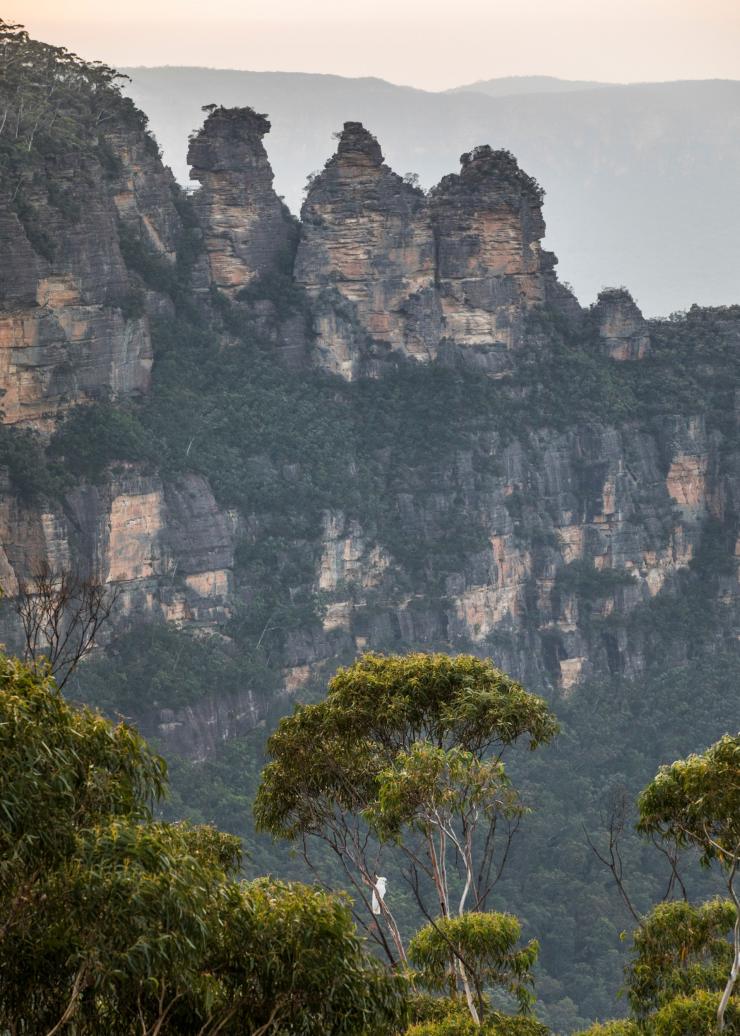 新南威尔士州，蓝山，三姐妹峰 © 新南威尔士州旅游局版权所有