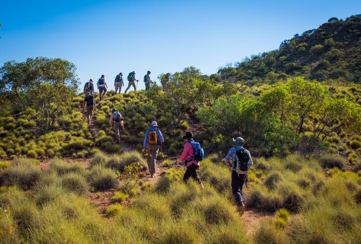 北领地，西麦克唐奈尔山脉，World Expeditions 经营的拉勒平塔路径 © World Expeditions/澳大利亚徒步之旅版权所有