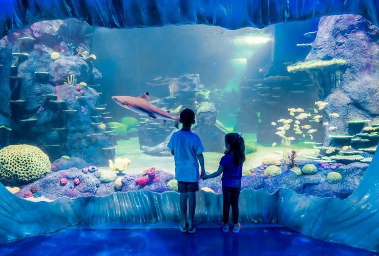 新南威尔士州，悉尼，悉尼海洋生物水族馆，两个孩子牵着手观看一个水族箱中的礁鲨、鱼和珊瑚 © 悉尼海洋生物水族馆版权所有