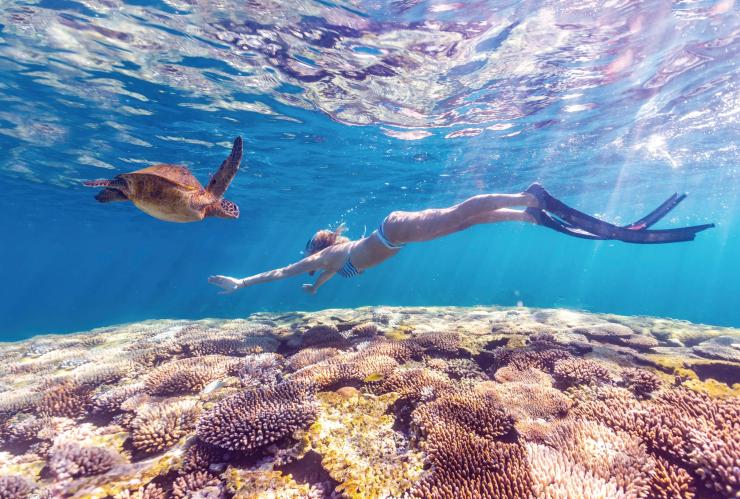 西澳大利亚州，宁加洛珊瑚礁，浮潜 © 澳大利亚珊瑚海岸版权所有