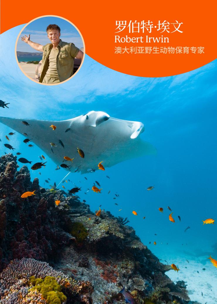 一张水下照片中，一只蝠鲼正穿梭在鱼群里，画面上方叠加了一张图片，里面是一位男子的笑脸，配文是 “罗伯特・埃文，澳大利亚野生动物保育专家”。