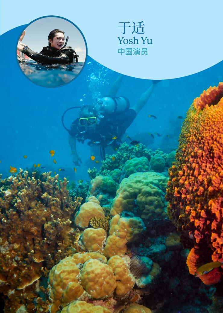 一个人在色彩斑斓的珊瑚和鱼群中潜水，画面上方叠加了一张图片，里面是男子的笑脸，配文为 “于适，中国演员”。