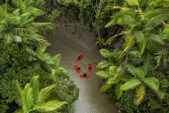 昆士兰州，戴恩树热带雨林，Back Country Bliss 探险 © Tourism and Events Queensland
