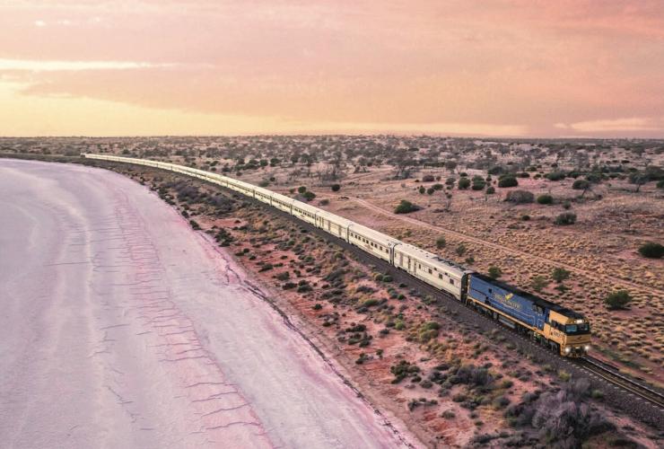 南澳大利亚州，雄鹿湖，印度洋-太平洋号列车，火车驶过一片粉红色的湖泊 © 澳大利亚旅游局版权所有