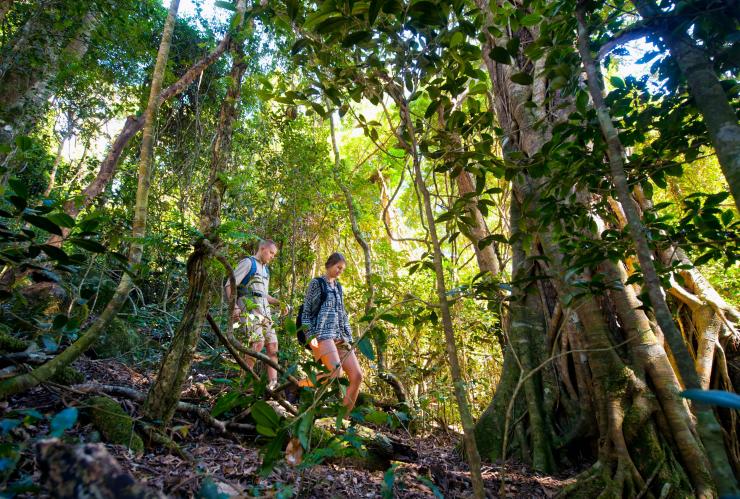 昆士兰州，雷明顿国家公园，奥莱利雨林度假村，两个人徒步穿越绿野仙踪般的雨林 © 奥莱利雨林度假村版权所有